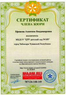 Ефимова А.В. Сертификат члена жюри